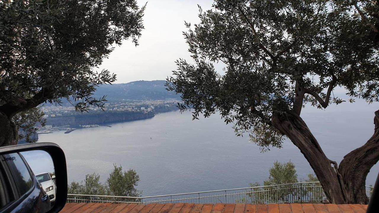 Grimaldi Guest Apartment Sorrento Esterno foto
