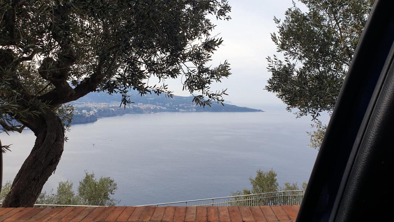 Grimaldi Guest Apartment Sorrento Esterno foto
